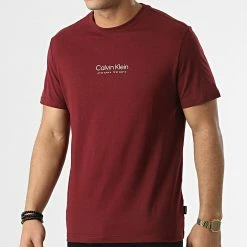 Acheter 🎉 Tee 👚 Shirt Logo Coordinates 8018 Bordeaux de Calvin Klein 🥰